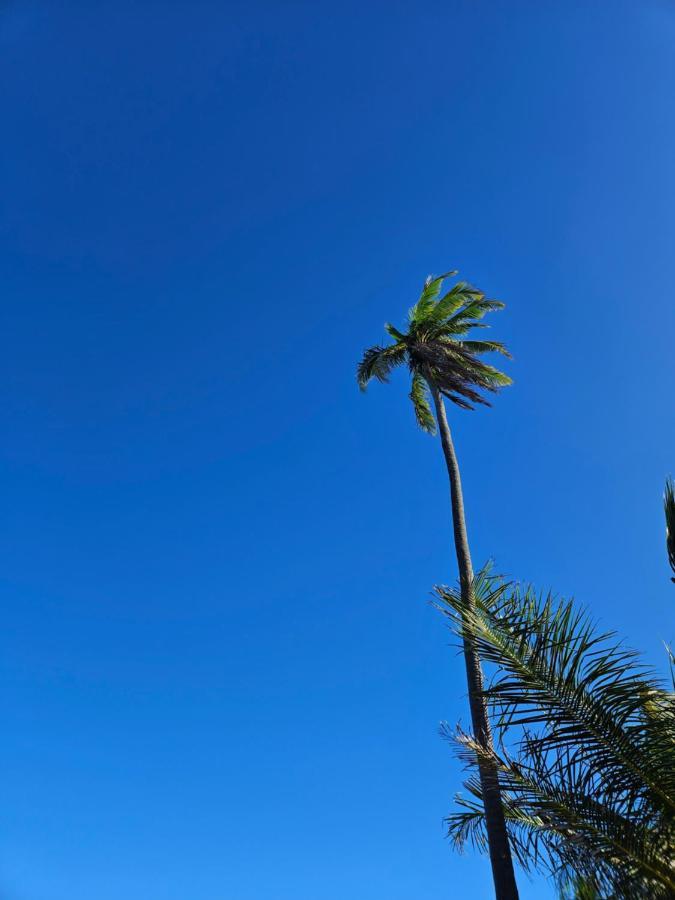 פראיה דו פורטה Al Mar Suites מראה חיצוני תמונה